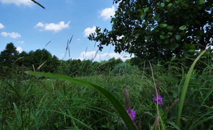 działka na sprzedaż - Bełchatów (gw), Wólka Łękawska