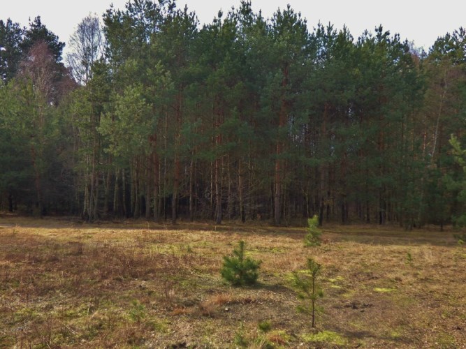 Działka Wólka Łękawska